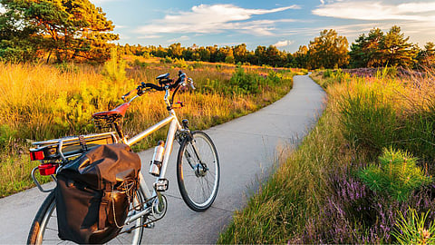 electric bicycle