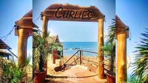 Curlies Club Goa