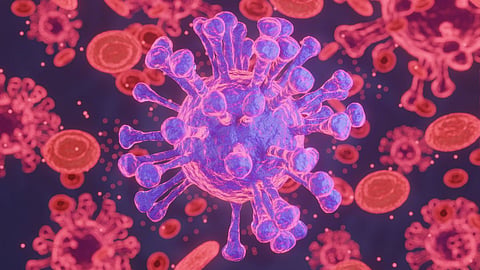 virus