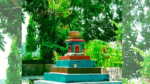 Tulsi Vastu Tips