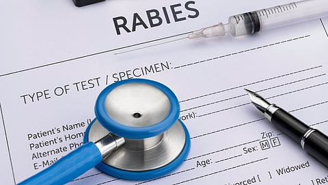 World Rabies Day