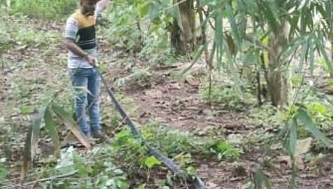 Sindhudurg: किंगकोब्राला पकडून स्वत:जवळ ठेवल्याप्रकरणी कथित सर्पमित्राला अटक