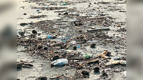 Morjim Beach Garbage