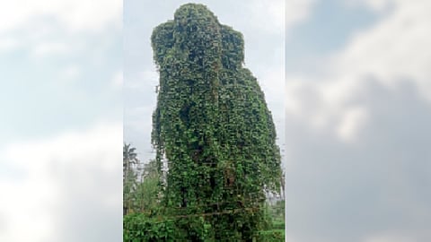 Ponda