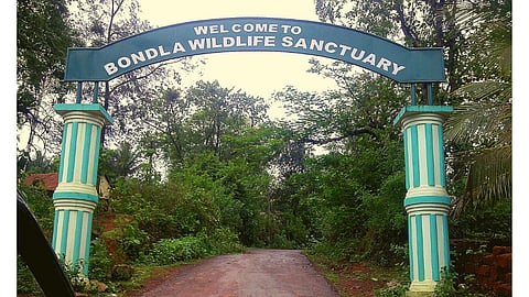 Bondla Wildlife Sanctuary