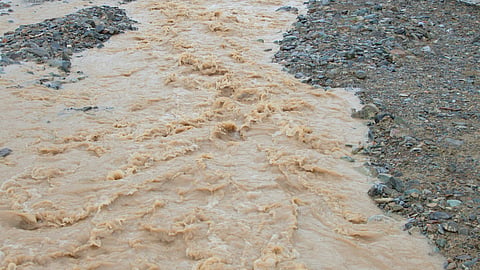 Muddy Water