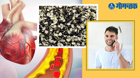 Black Gram Lentil