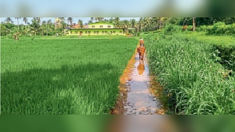 Farm