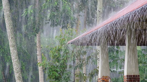 Goa Mansoon