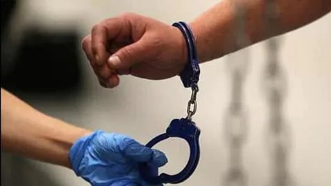 Verna Crime