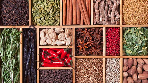 spices that helps to boost immunity power