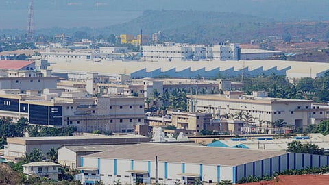 Goa pharma Companies
