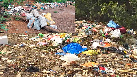 Goa Garbage
