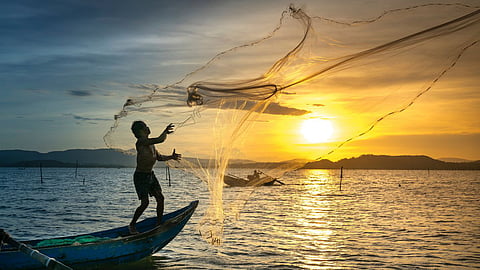 Goa News | Fishing