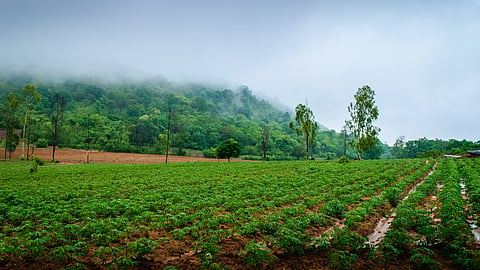Goa Rain