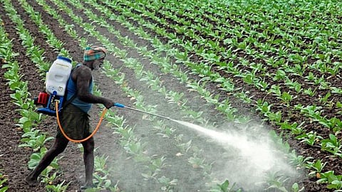 Goa Agriculture |Goa News
