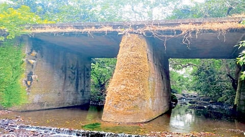 Bridge Work | Goa News