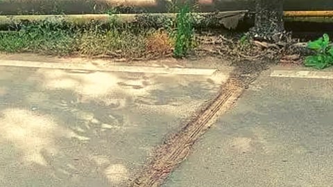 Bad Road in Goa