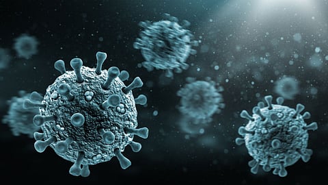 Zombie Virus