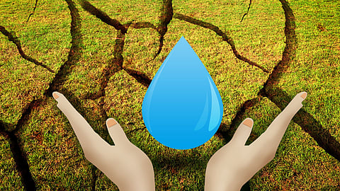 Environment News|Goa News