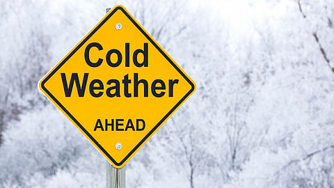 Maharashtra Cold Wave