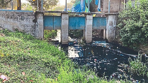 Sal River Pollution | Goa News