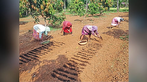 Goa News | Mapusa