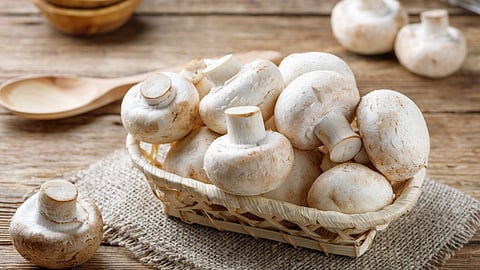 Health Benefits of Mushroom