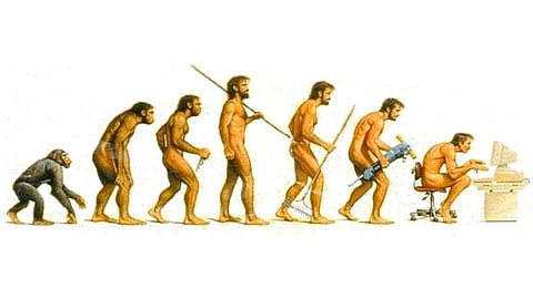 Human Evolution