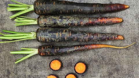 Black Carrot Benefits