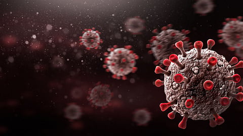 Japanese Encephalitis