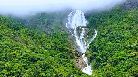 Dudhsagar Waterfall Entry Fee: वनविकास महामंडळाच्या अध्यक्षा तथा आमदार दिव्या राणे यांच्या हस्ते त्याचे अनावरण झाले