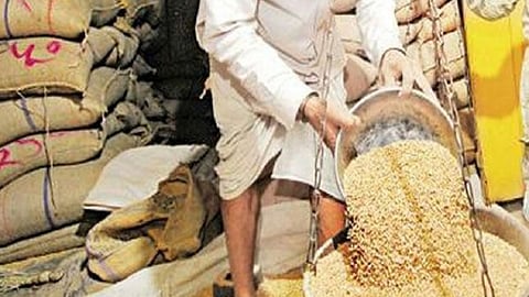 Grain Scam