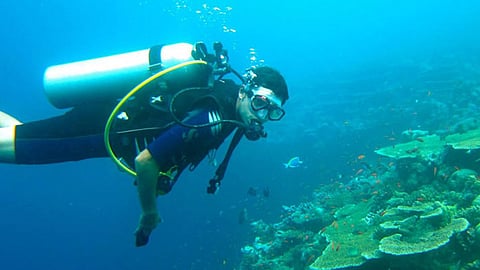 Scuba Diving
