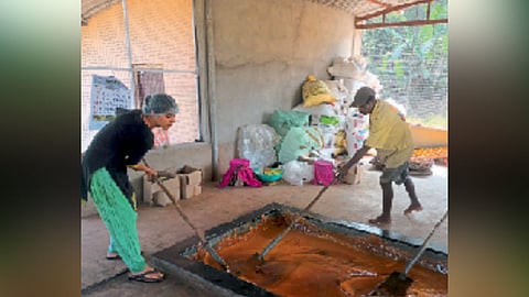 Goa Agriculture |
