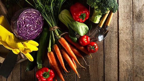 Vegetable