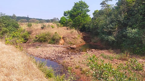 Mahadayi Water Dispute | Kalsa River | Mahadayi Water Dispute Tribunal