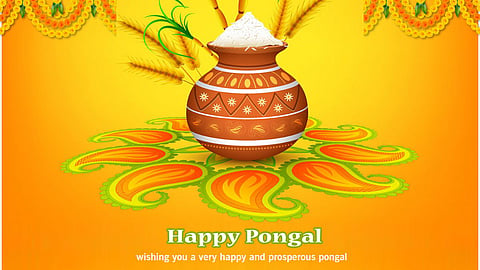 Pongal Festival