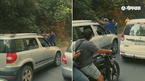 Tourist Fight Video