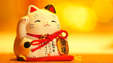 Feng Shui Tips |Cats