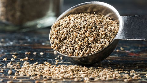 celery seeds