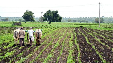 Agriculture