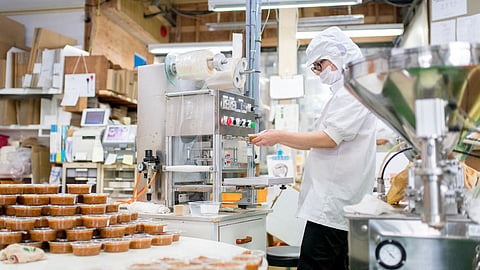 Food Processing Industry