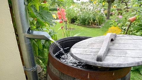 Rain Water Harvesting