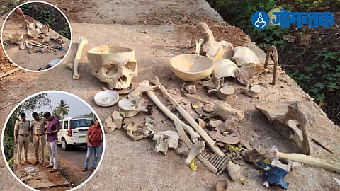 Goa Crime Case