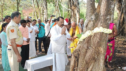 Goa News|Environment
