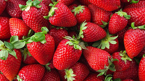 strawberry