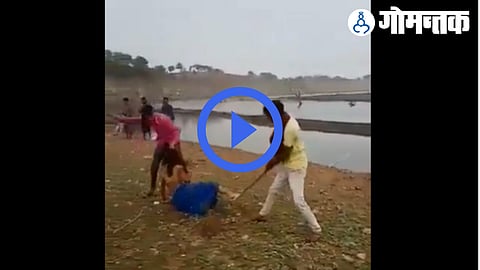 Watch Video