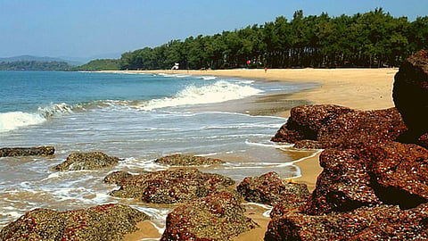 Galgibaga Beach |Goa News