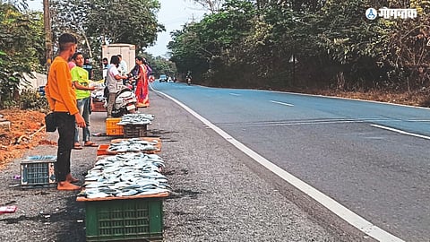 Encroachment in Bicholim